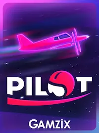 Pilot crash at 55H COM