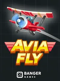 Avia Fly crash at 55H COM
